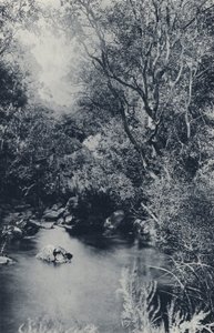 Witpoortje yakınlarında bir Peri Sahnesi (s/b fotoğraf) by South African Photographer
