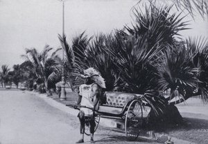 Bay Esplanade, Durban, Ricksha'yı gösteriyor (s/b fotoğraf) by South African Photographer