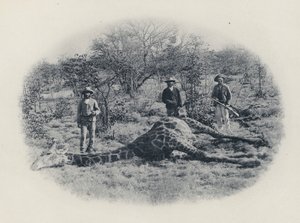 Transvaal