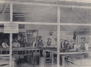 Elmas Sıralama, Wesselton Madeni (s/b fotoğraf) by South African Photographer