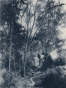 Lydenburg Bölgesi