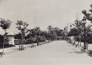 Cadiz: Alameda de Apodaca (s/b fotoğraf)