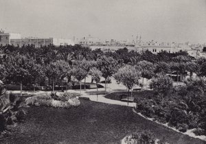 Cadiz: Parque Genoves (s/b fotoğraf) by Spanish Photographer