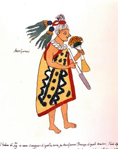 Codex Vaticanus 3738