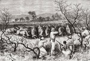 19. yüzyılın sonlarında Orta Afrika