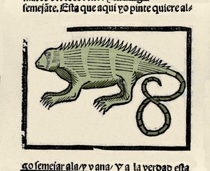 Bir iguananın temsili. Gonzalo Fernandez de Oviedo (Gonzalo) veya Fernandez de, ou Hernandez de Oviedo y Valdes (1478-1557) tarafından “Hint Adaları, adalar ve okyanus denizinin anakarasının genel tarihi” kitabından gravür by Spanish School
