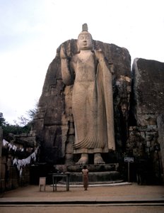 Avukana