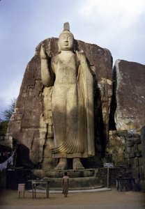 Avukana