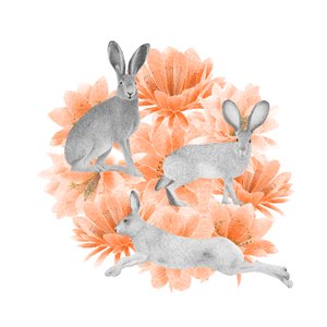 Jack Rabbits, 2021 (grafit kalem ve dijital)