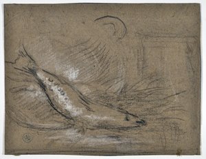 Balık çalışması (çizim) by Stanislas Torrents y de Amat
