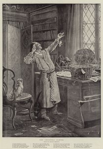 Noel Sepeti