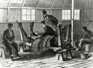 Buzağıdan virüs almak, 1872
