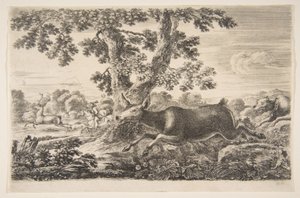 Geyik avı, Hayvan avlarından Farklı hayvanlar için avlar, ca. 1654. by Stefano della Bella