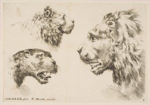 Üç Aslan Başları, yak. 1641. by Stefano della Bella