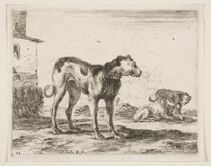 Levha 11: Köpekler, çeşitli hayvanlardan Diversi animali, yakl. 1641. by Stefano della Bella