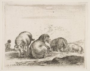 Levha 12: Bir merada koyun ve koç, çeşitli hayvanlardan Diversi animali, ca. 1641. by Stefano della Bella