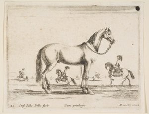 Levha 21: Çeşitli hayvanlardan at, Diversi animali, 1641. by Stefano della Bella