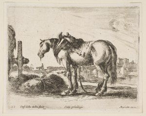 Levha 22: Araba atı, çeşitli hayvanlardan Diversi animali, yakl. 1641. by Stefano della Bella