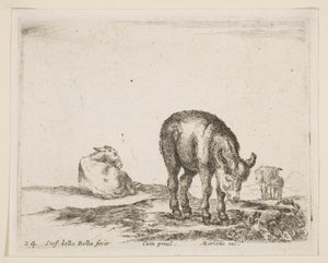 Levha 24: Çeşitli hayvanlardan eşekler Diversi animali, yakl. 1641. by Stefano della Bella