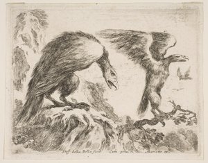 Levha 2: Çeşitli hayvanlardan kartal ve kartal, Diversi animali, yakl. 1641. by Stefano della Bella