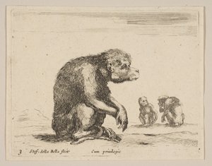 Levha 3: Oturan maymun, çeşitli hayvanlardan Diversi animali, yaklaşık. 1641. by Stefano della Bella