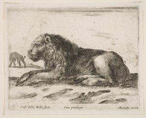 Levha 5: Yatan aslan, çeşitli hayvanlardan Diversi animali, 1641. by Stefano della Bella
