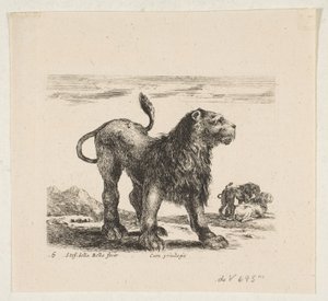 Levha 6: Aslan, 