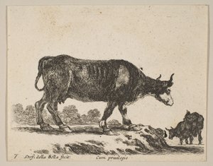 Levha 7: inek, çeşitli hayvanlardan Diversi animali, yakl. 1641. by Stefano della Bella