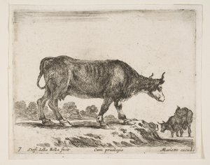 Levha 7: öküz, çeşitli hayvanlardan Diversi animali, ca. 1641. by Stefano della Bella