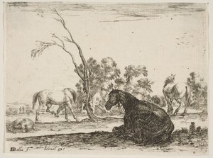 Levha 8: Sağda oturan, arkadan görülen ve sola dönen bir at, diğer üç hor..., 1642.
