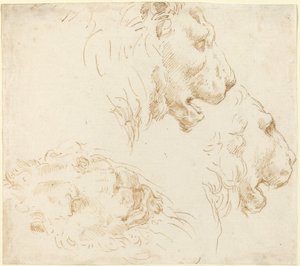 Aslan Başı Çalışmaları by Stefano della Bella