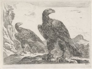 Sağa kafaları olan iki kartal Eagles (seri başlığı) by Stefano della Bella