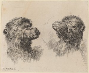 İki Deve Başı by Stefano della Bella
