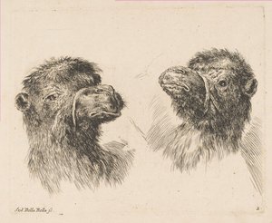 İki Deve Başı, ca. 1641. by Stefano della Bella