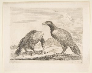 Eagles Les aigles