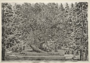 Villa of Pratolino'nun Manzaraları: Yaşanılan Ağaç by Stefano della Bella