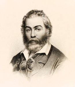 Amerikan şair Walt Whitman