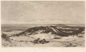 deniz yılanı by Stephen Alonzo Schoff