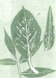 Gone IX, 2015 (kağıt üzerine monoprint) by Stephen Dow