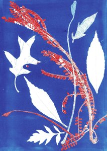 Jol I, 2017 (kağıt üzerine monoprint) by Stephen Dow