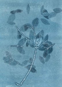 Gece Yarısı Bahçesi I, 2015 (kağıt üzerine monoprint) by Stephen Dow