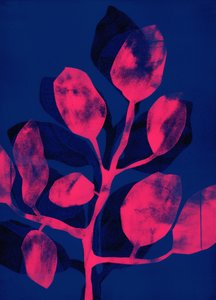 Yaz Bahçesi III pembe, 2018 (dijital) by Stephen Dow
