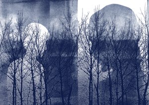 Tears I Beld 171, 2016 by Stephen Dow