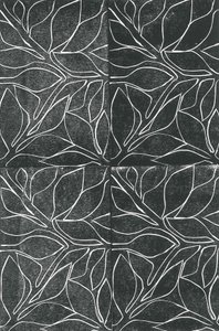 Vines, 2015 by Stephen Dow