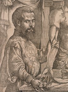 Andreas Vesalius, bir kadavranın ön kol kaslarını keserken, 1543. by Steven van Calcar