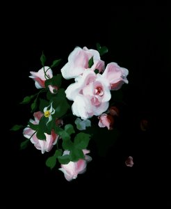 Pembe güller. Stuart Park (1862-1933) tarafından yapılmış resim Özel koleksiyon. by Stuart Park