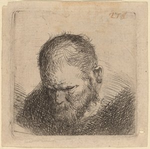 Sakallı adam aşağı bakıyor by Studio of Rembrandt van Rijn