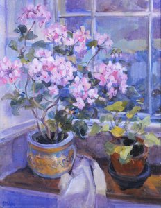 Pencere kenarındaki pembe sardunya, 1996, by Sue Wales