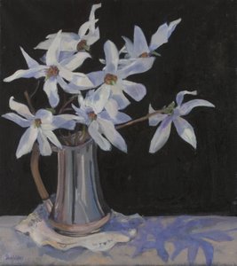 Gümüş Sürahide Beyaz Manolyalar, 2019 by Sue Wales