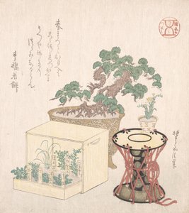 Saksılı Çam Ağacı, Davul ve Kutuya Ekilmiş Yedi Ot, 18.-19. yüzyıl., 18.-19. yüzyıl. by Sunayama Gosei